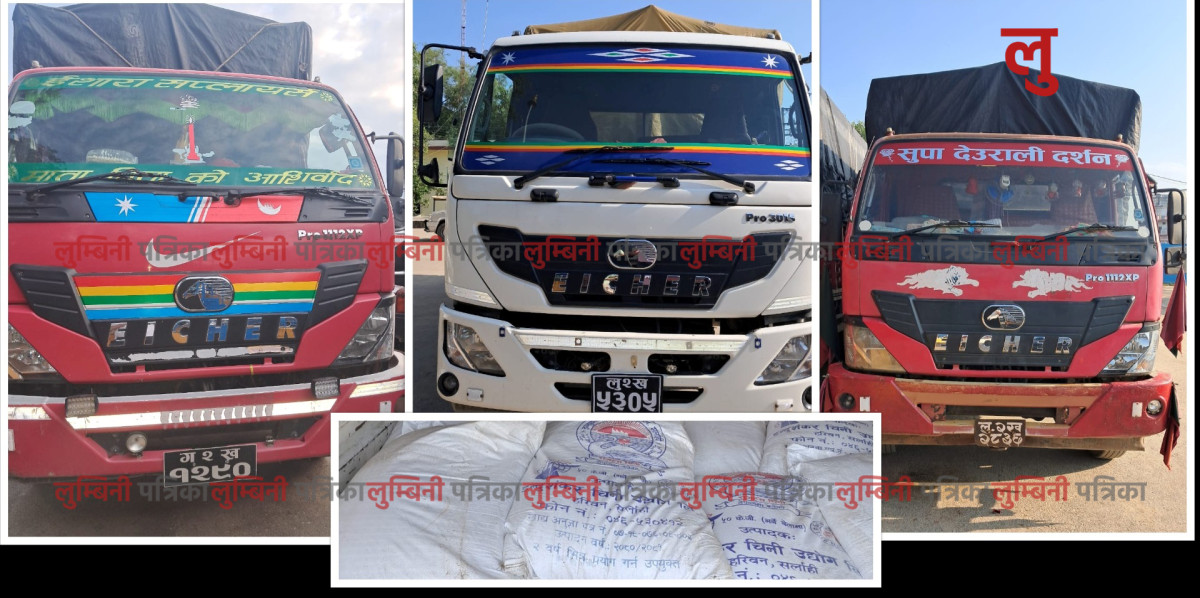 भिआइपी आउदै रुपन्देहीबाट सातामा ३ ट्रक सहित अवैध चिनी बरामद