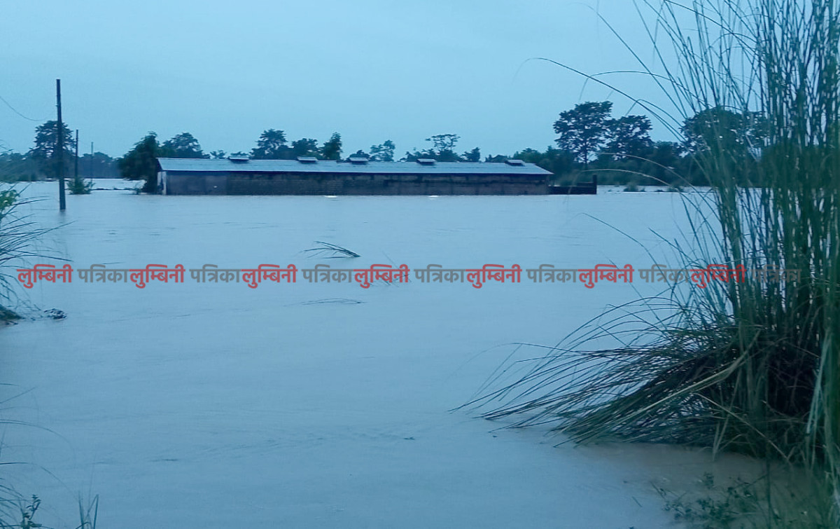 वर्षाले देवदह क्षेत्र प्रभावितः फर्म र वस्तीमा पानी पस्याे, २ जनाको उद्वार