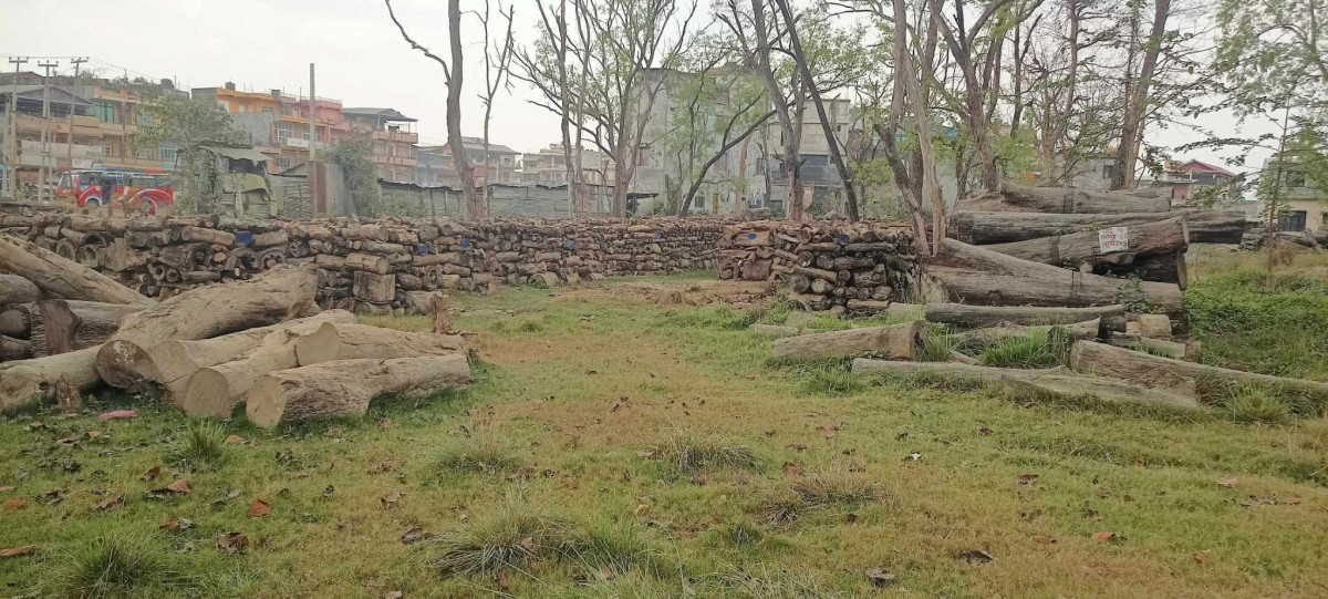 काठ विक्री वापत सामुदायिक वनसंग कर नलिन सर्वोच्चको अन्तरिम आदेश