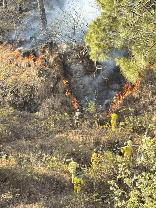 पाल्पामा सामुदायिक वनको १६८ हेक्टर जंगल सखाप, तीनदिनसम्म पनि नियन्त्रण बाहिर
