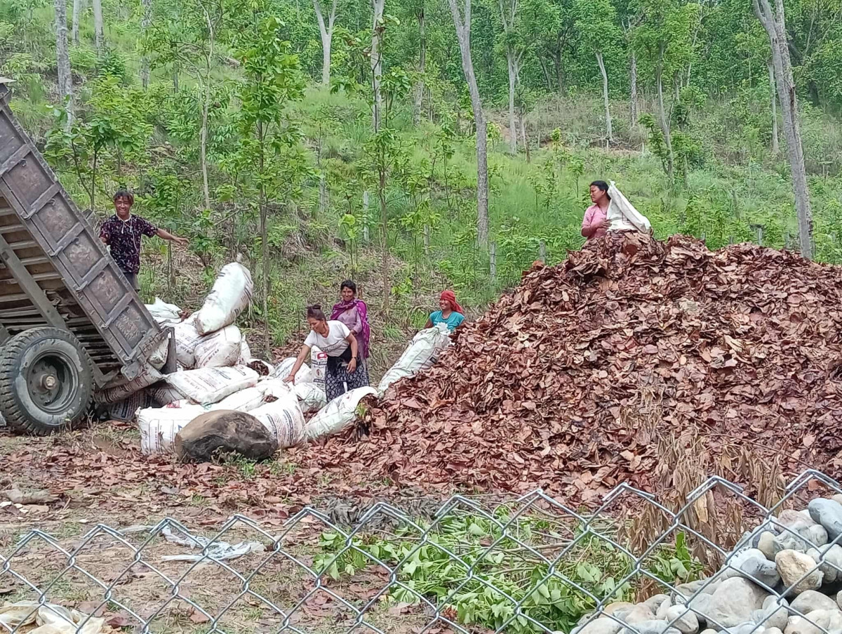 डढेलो नियन्त्रण र आर्थिक उपार्जनको माध्यम