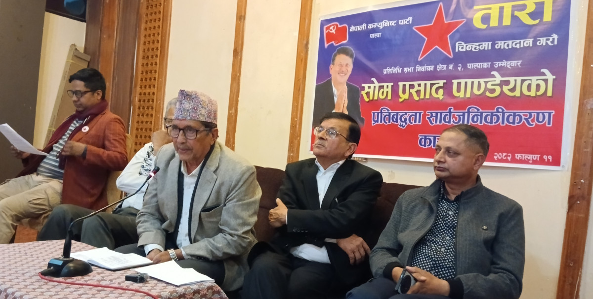 यस्ता छन् पाल्पा २ मा पाण्डेयका २५ बूँदे प्रतिबद्धता