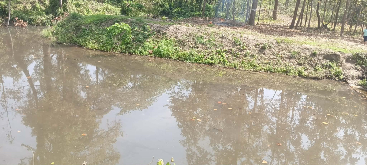 सामुदायिक बनमा डढेलो नियन्त्रण गर्न पोखरी निर्माण